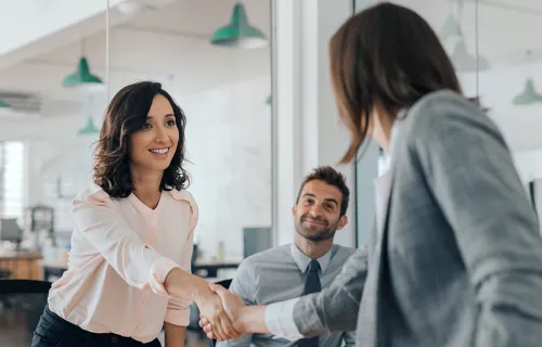 Professionals greet each other