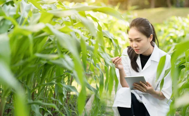 Launching SEEDS - Sustainability Exploration and Environmental Data Science with Academia and the United Nations 
